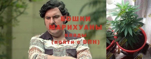 первитин Балахна