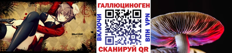 мега маркетплейс  Салаир  Галлюциногенные грибы Cubensis 